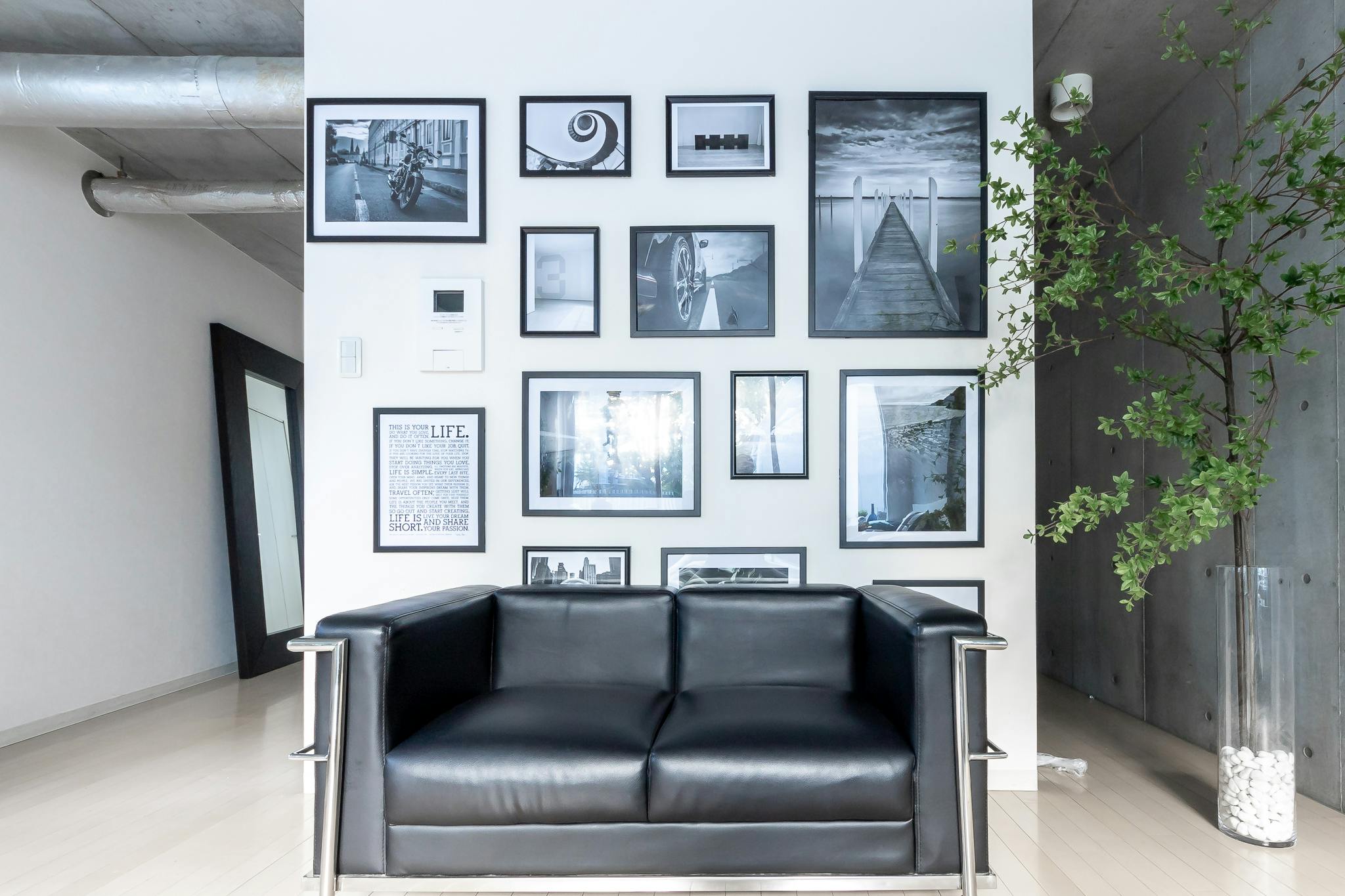 【明治神宮前駅6分】豊富なグリーンとナチュラルな自然光がおすすめ 原宿・表参道のスタジオ