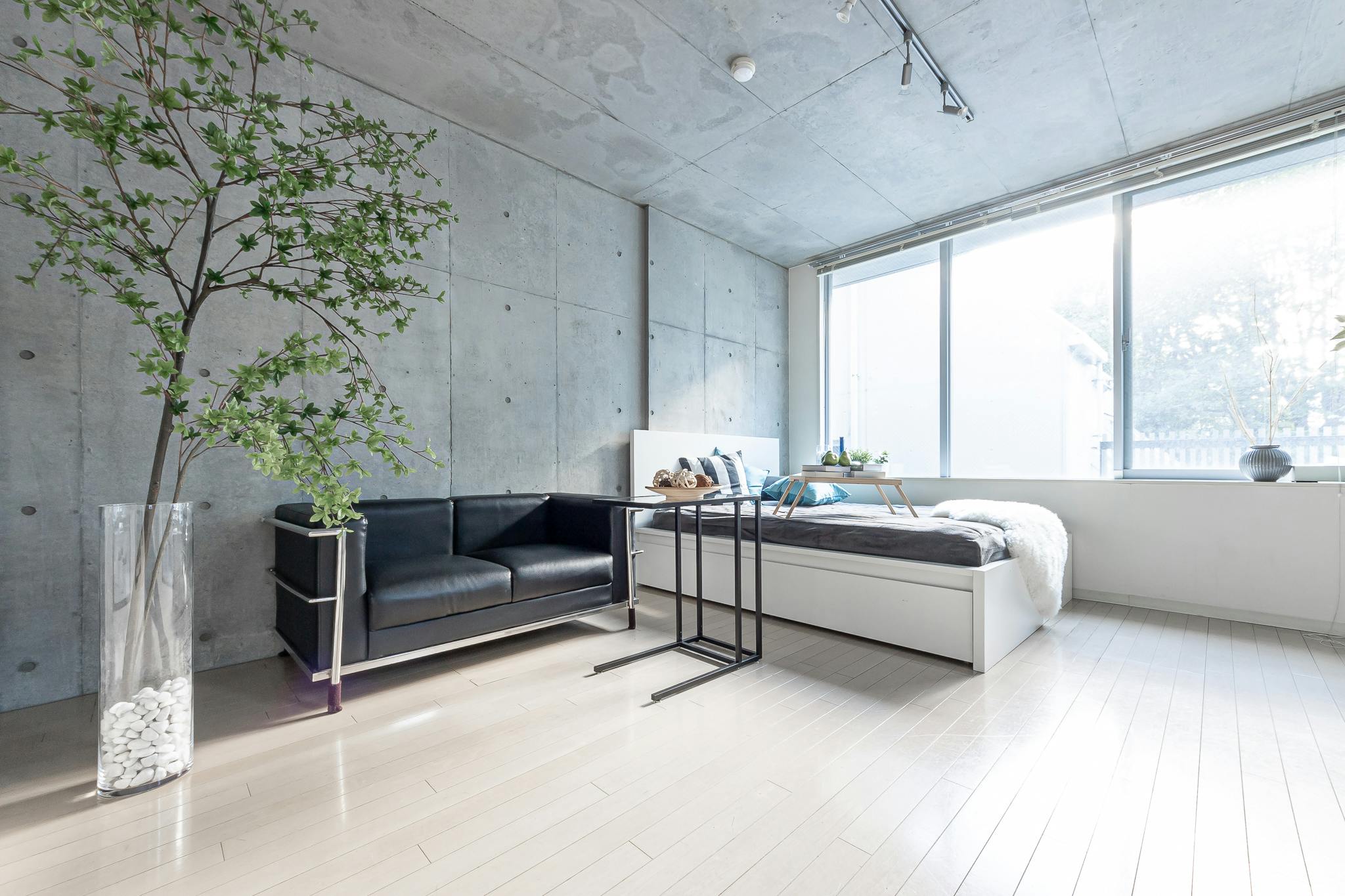 【明治神宮前駅6分】豊富なグリーンとナチュラルな自然光がおすすめ 原宿・表参道のスタジオ