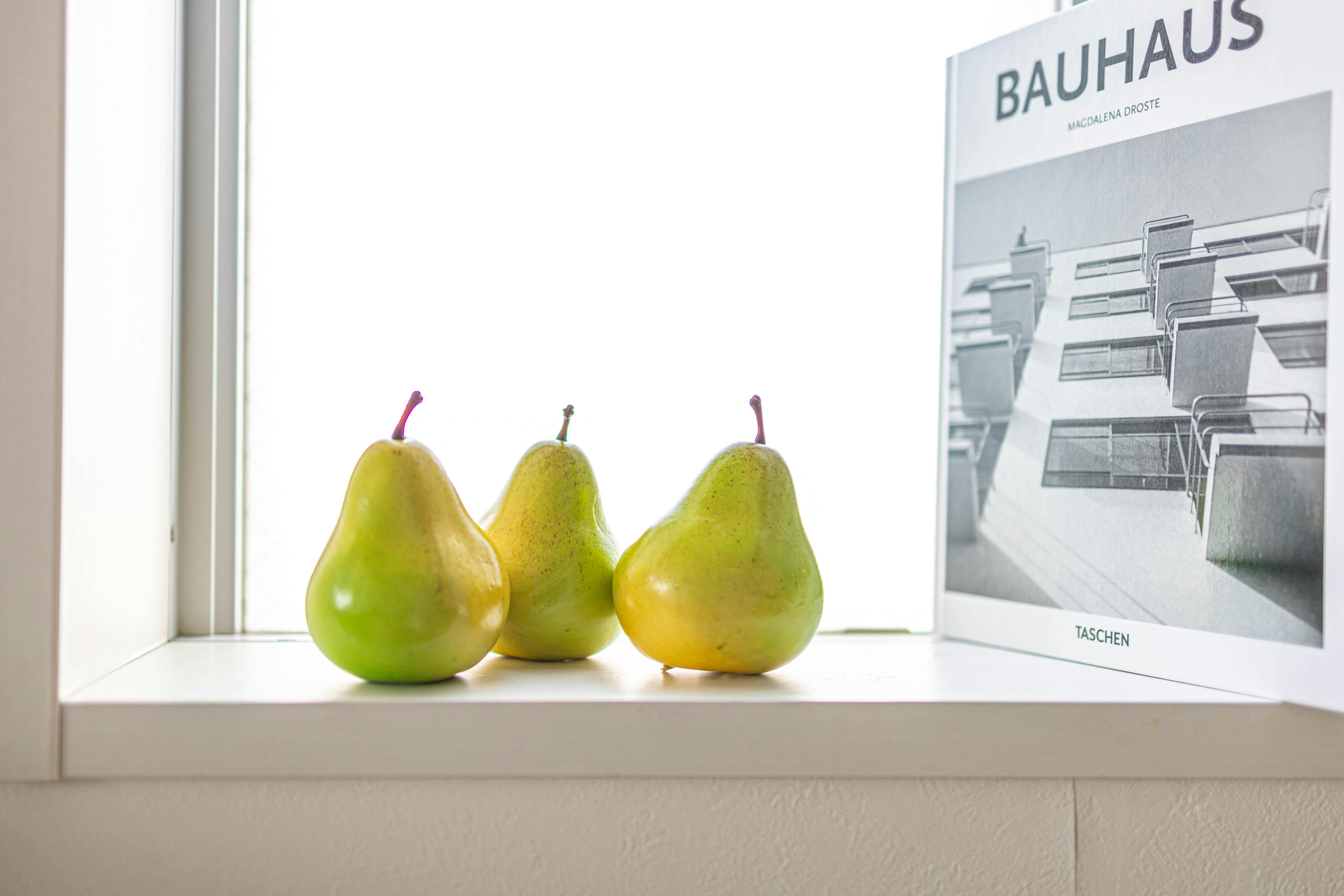 【明治神宮前駅6分】豊富なグリーンとナチュラルな自然光がおすすめ 原宿・表参道のスタジオ
