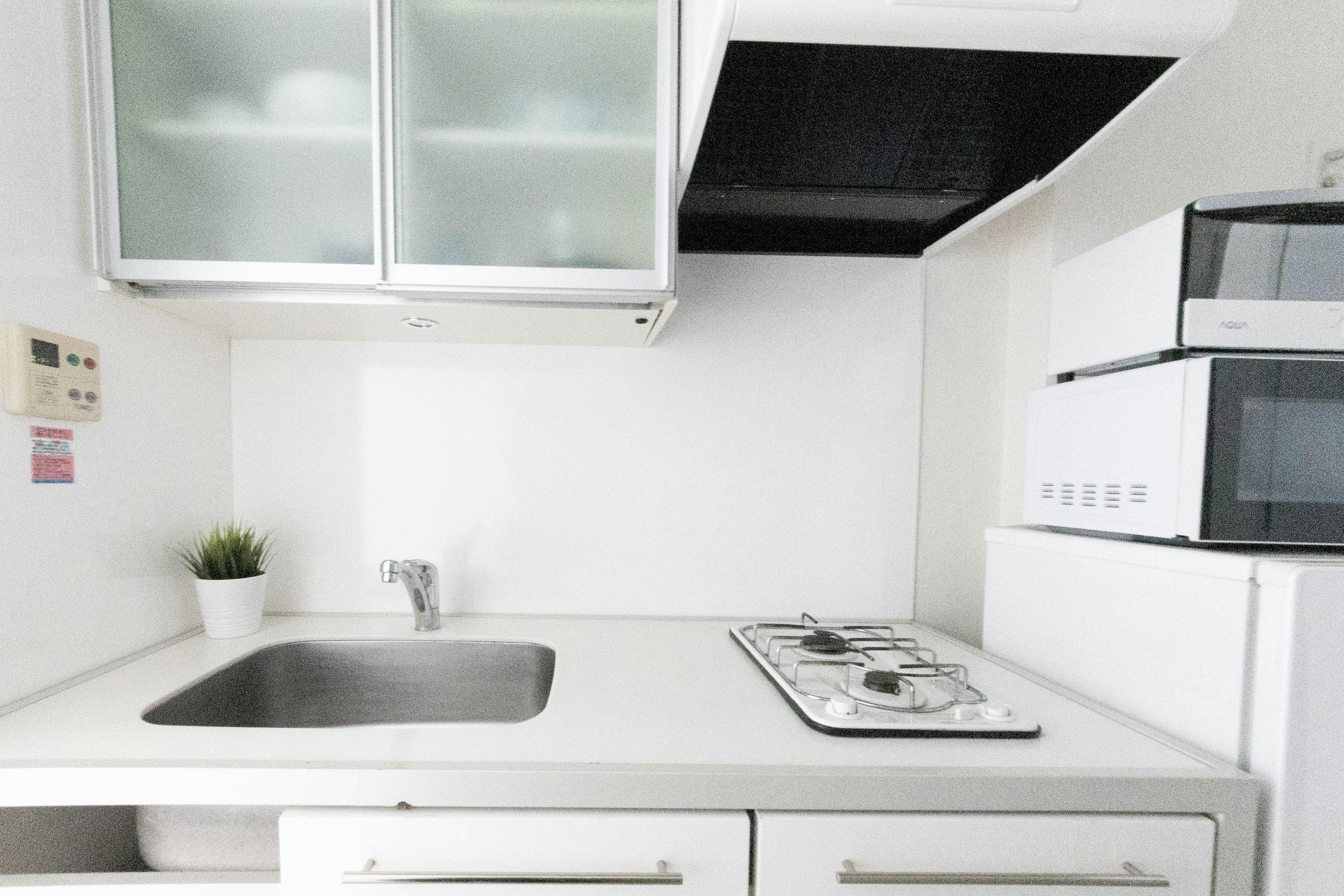 【明治神宮前駅6分】豊富なグリーンとナチュラルな自然光がおすすめ 原宿・表参道のスタジオ