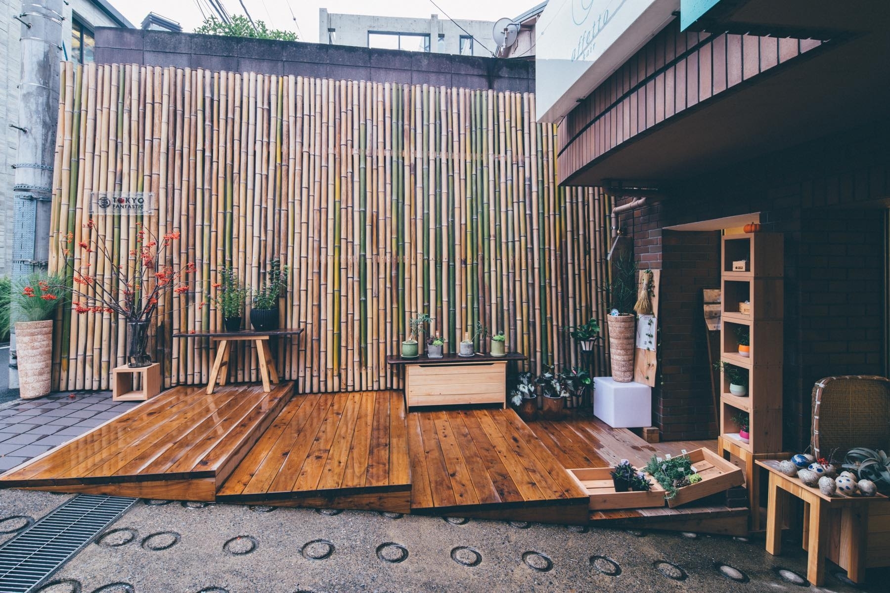 【表参道駅3分】青山の花と緑のギャラリーの画像11