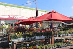 【ユニディ草加新栄町店】1階入口付近 物販やプロモーションに最適なホームセンター内入口付近の催事イベントスペース