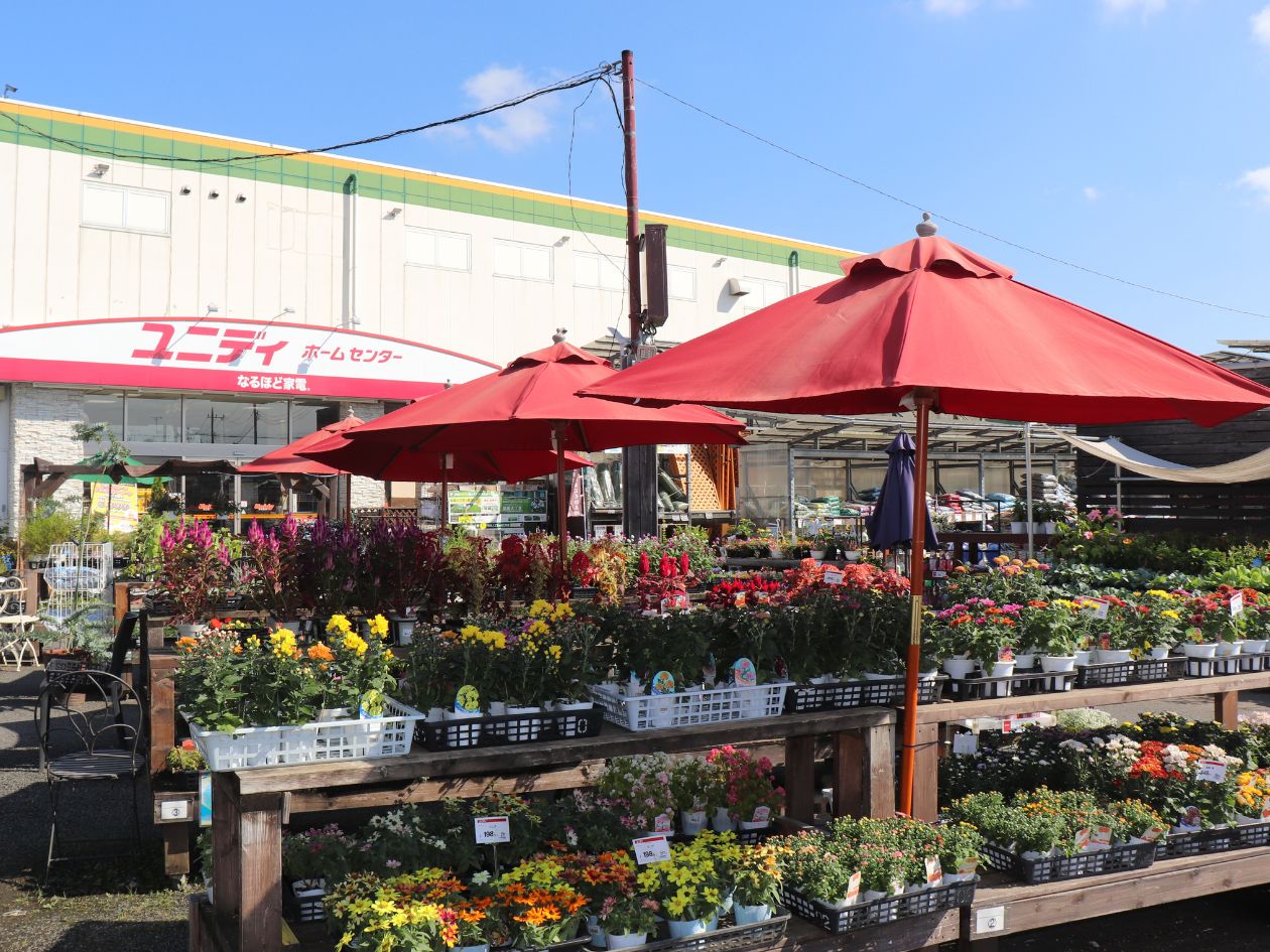 【ユニディ草加新栄町店】1階入口付近　物販やプロモーションに最適なホームセンター内入口付近の催事イベントスペース