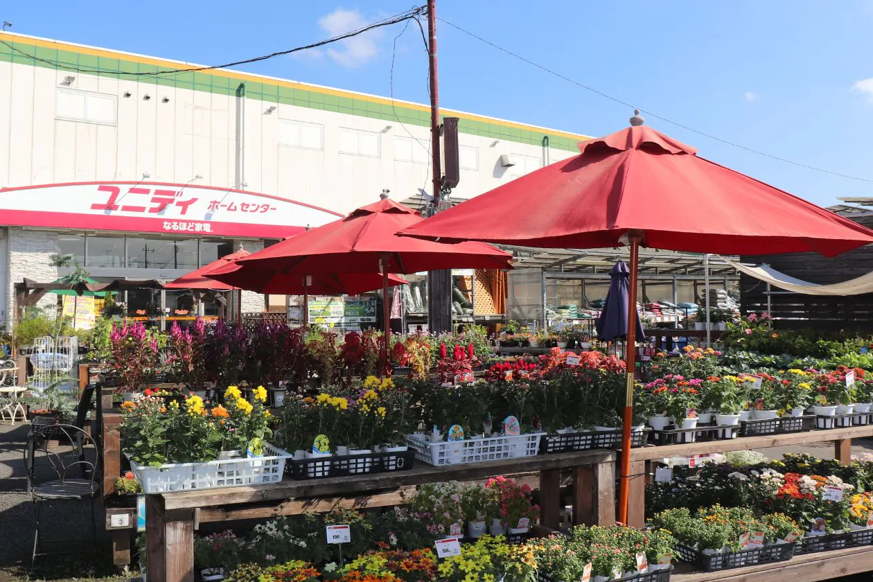 【ユニディ草加新栄町店】1階入口付近 物販やプロモーションに最適なホームセンター内入口付近の催事イベントスペース