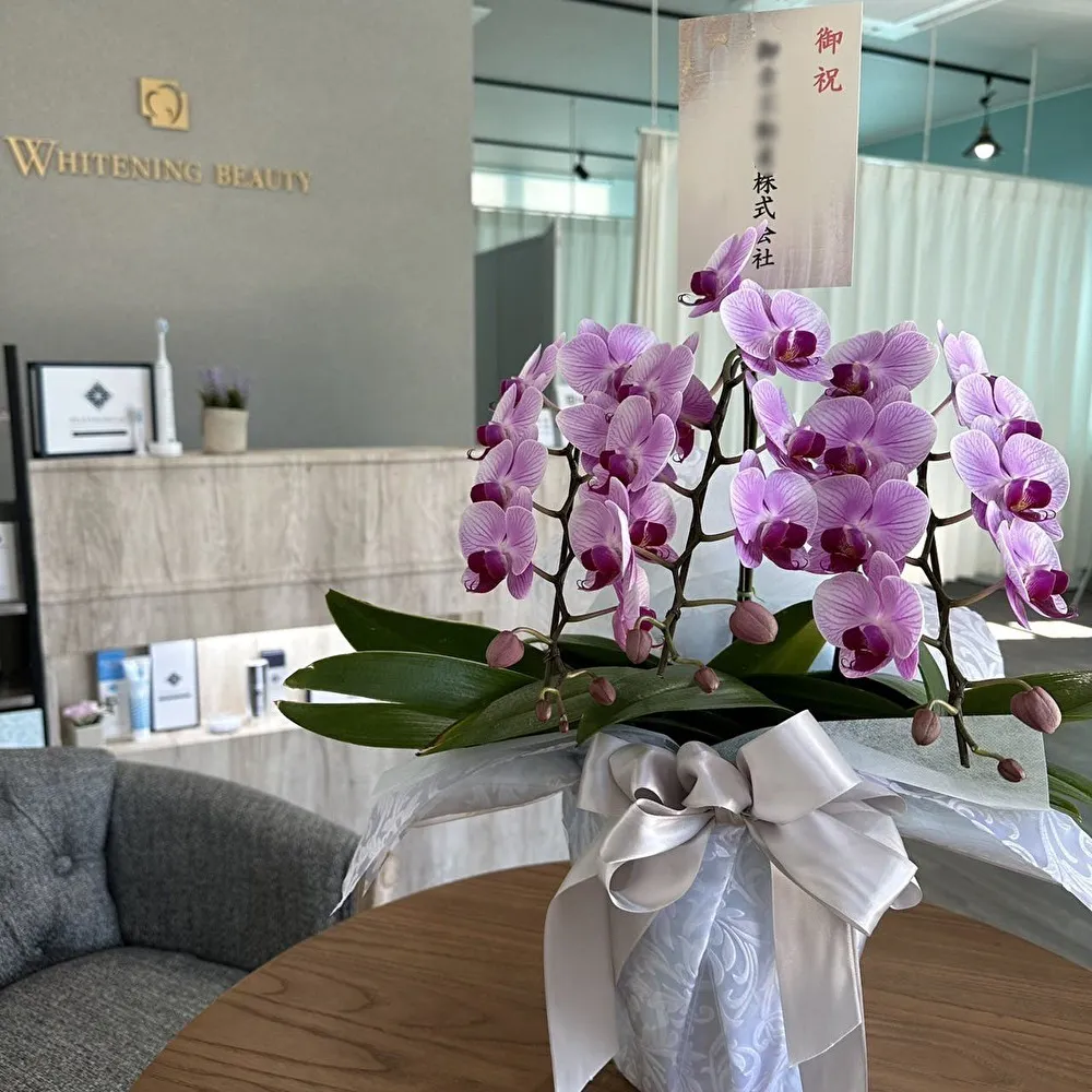 【岡崎市】ロケ・撮影に最適な設備の充実したホワイトニングサロン内のイベントスペース