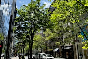 【銀座一丁目駅1分/銀座駅6分/有楽町駅5分】銀座並木通りの路面に新しく誕生した、白を基調とした洗練のプライベート空間|大切なブランドの魅力を静かに引き立てます