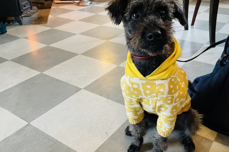 【宇都宮エリア】食物販やワークショップに最適なペットOKのカフェスペースの画像2