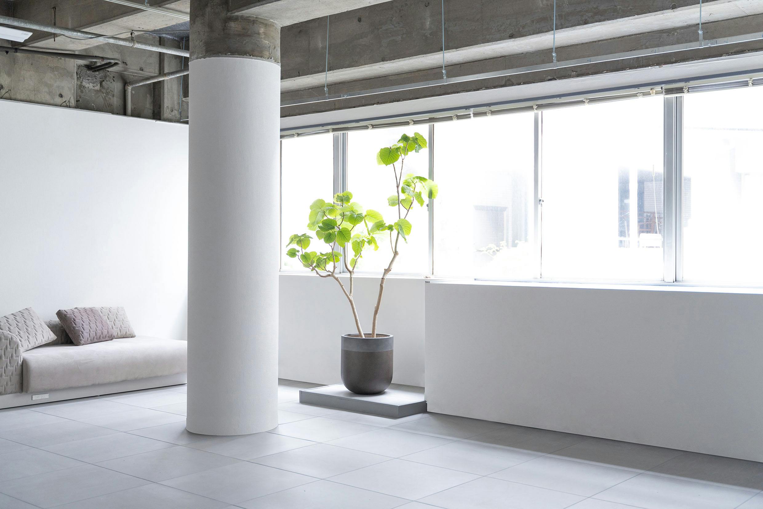 【六本木一丁目駅5分】展示会や撮影・収録、ポップアップストア等に最適な白壁のシンプルなイベントスペース