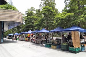 【四ツ谷駅2分/毎月第1・第3水曜】食品・雑貨に最適!いつでも憩いと賑わいで溢れる施設コモレ四谷1階のマルシェスペース『コモレ四谷マルシェ』