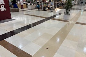 【イオン秦野】プロモーションに適した地域密着型のショッピングセンターの店内1Fクロックハウス前交差点スペース