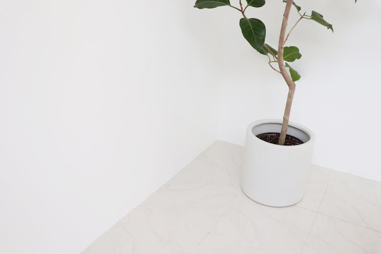 【代官山駅5分】撮影や展示会に適した2面ガラス張りの明るいレンタルスタジオの画像5