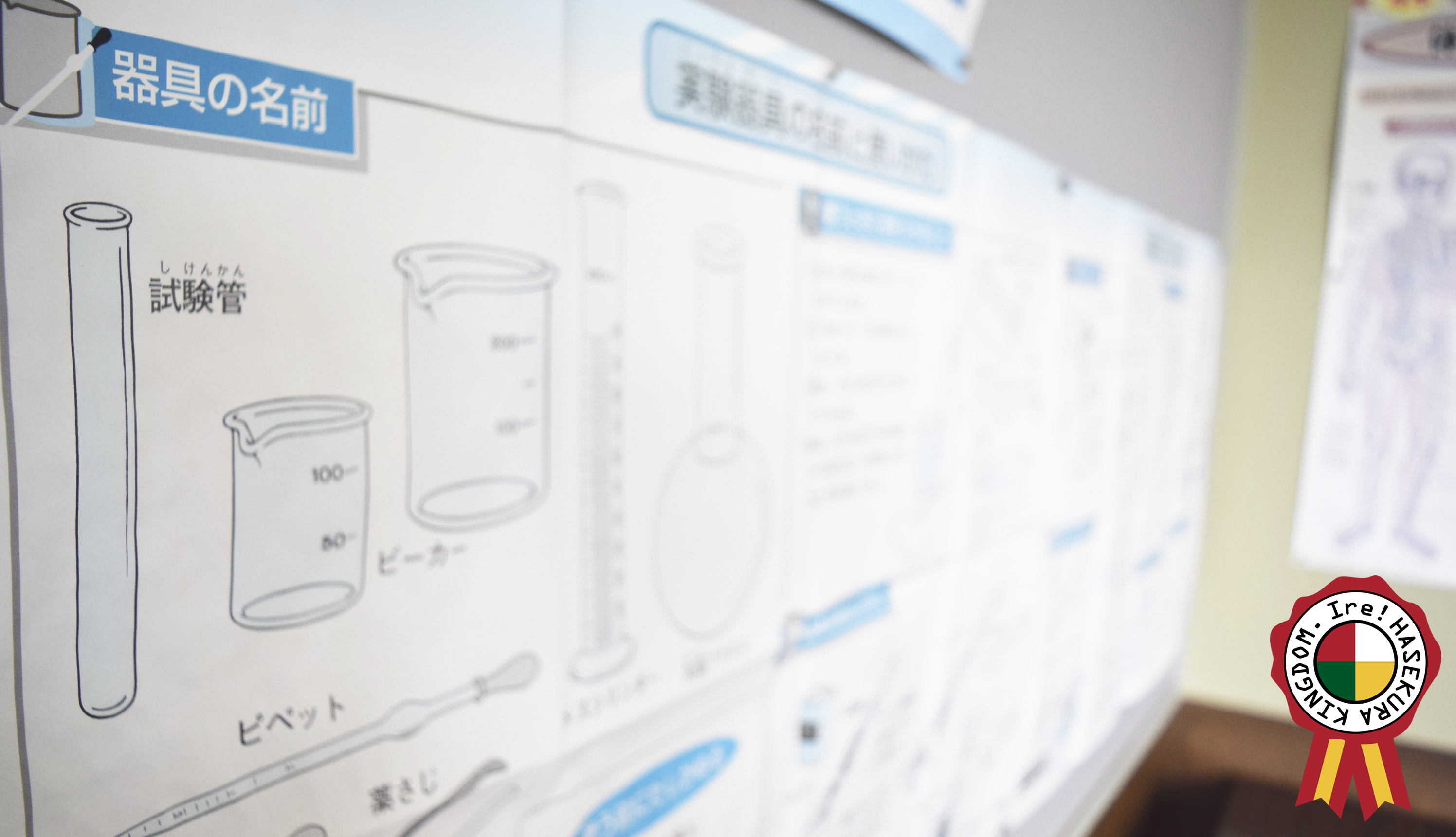 【イーレ！はせくら王国(理科室)】撮影や地域のワークショップに適した廃校を利用した教室型のイベントスペースの画像6