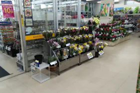 【サンデー水沢佐倉河店】屋内店内 食物販やプロモーション等の出店に最適なホームセンター店内のイベントスペース