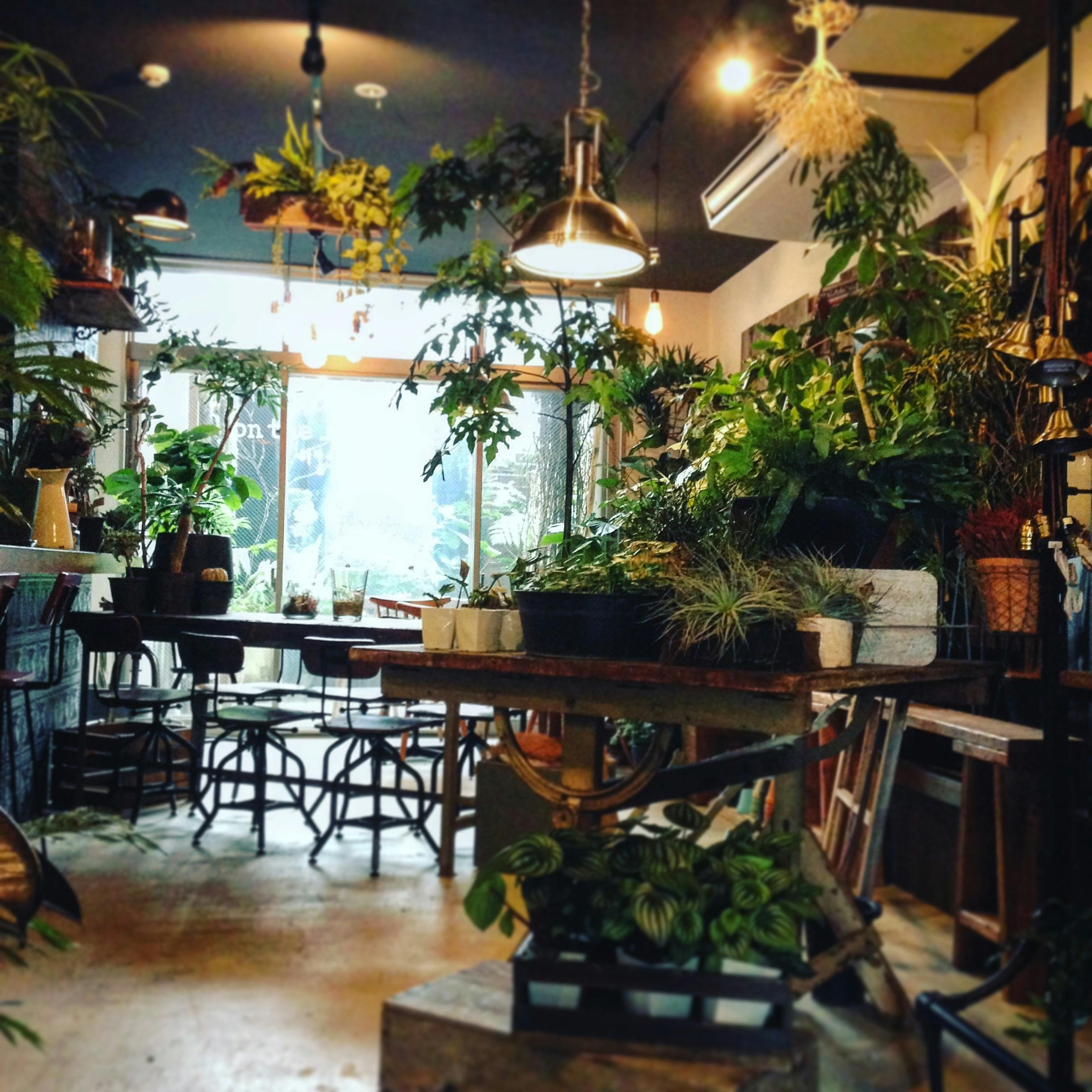 植物溢れるスペースになっております。