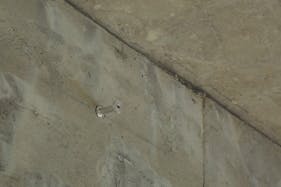 【渋谷駅7分/明治神宮前駅8分】室内ポップアップ|クリスマス🎄お正月🎍撮影に|洗練されたハウススタジオ..゚・*自然光有。シンプルな内装🌱原宿/渋谷/神南