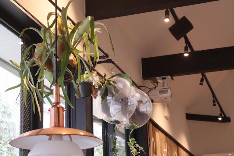 【渋谷駅8分】飲食込みのレセプションイベントやポップアップストア、プロモーションに適した代官山、桜丘、鉢山に囲まれた高級住宅が立ち並ぶエリアに位置するカフェ内イベントスペース(全館貸切)の画像3