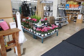 【サンデー花巻店】店内入口風除室 食物販やプロモーション等の出店に最適なホームセンター店内のイベントスペース