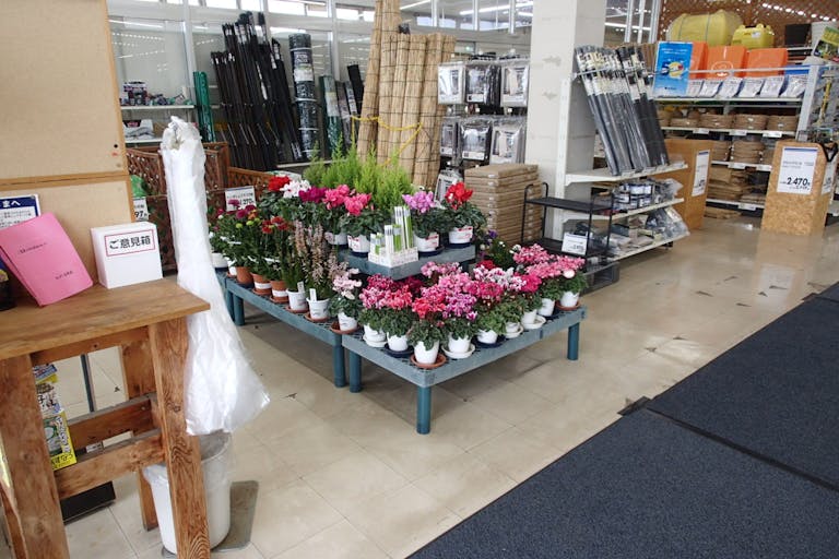 【サンデー花巻店】店内入口風除室 食物販やプロモーション等の出店に最適なホームセンター店内のイベントスペースの画像1