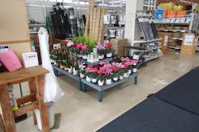 【サンデー花巻店】店内入口風除室 食物販やプロモーション等の出店に最適なホームセンター店内のイベントスペース