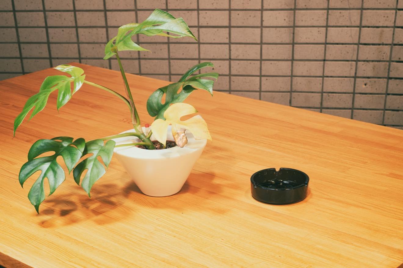 本格的な厨房とカウンター＆ショールームの画像7