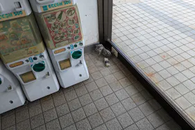 【ゆめマート松島】風除室 ポップアップストア(物販、食物販)やプロモーション用途に最適なスーパーの屋内催事イベントスペース