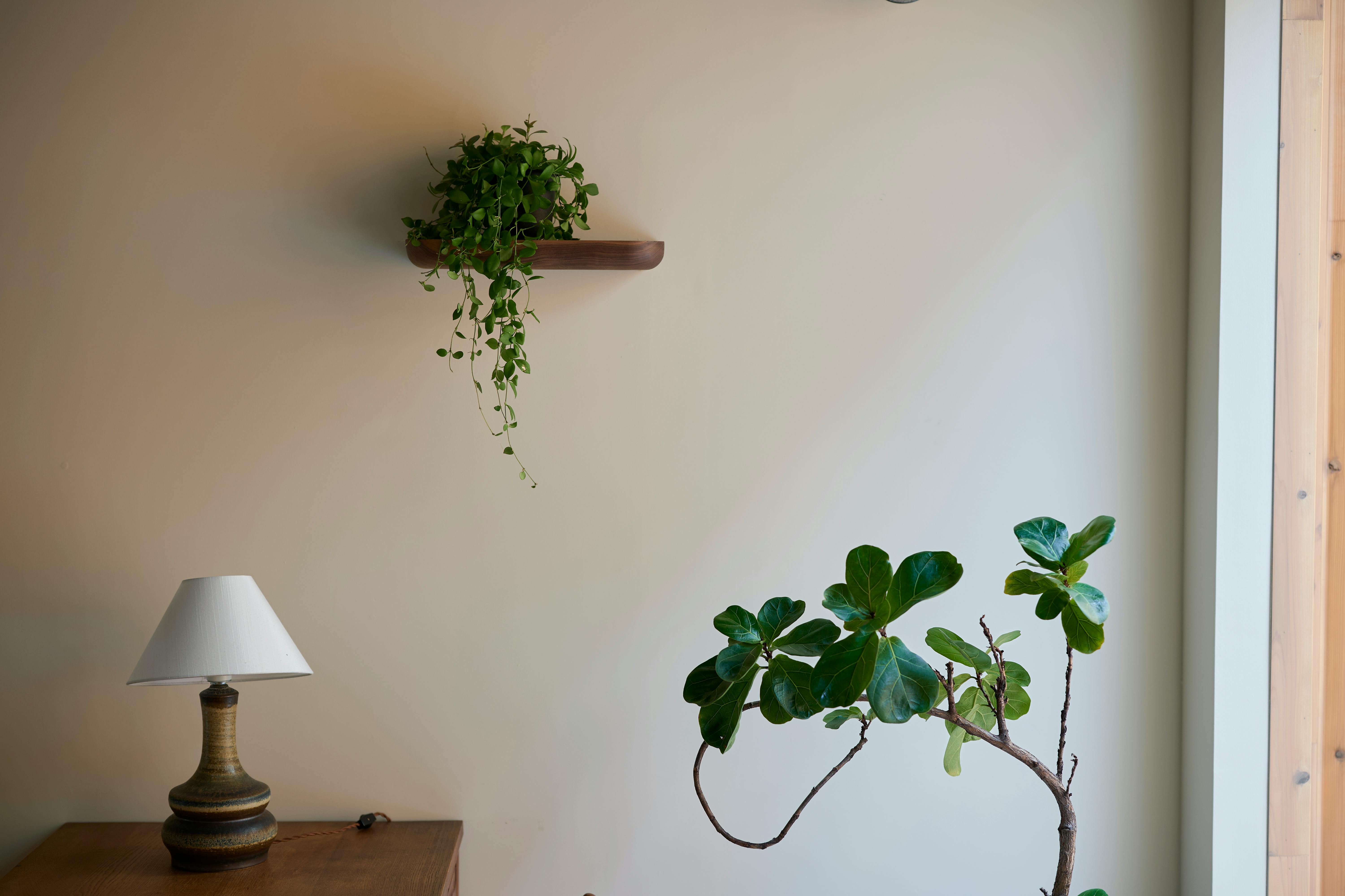 【京都・一乗寺】自然光の入るギャラリー・展示撮影スタジオ|32㎡+中庭10㎡|一乗寺駅徒歩8分