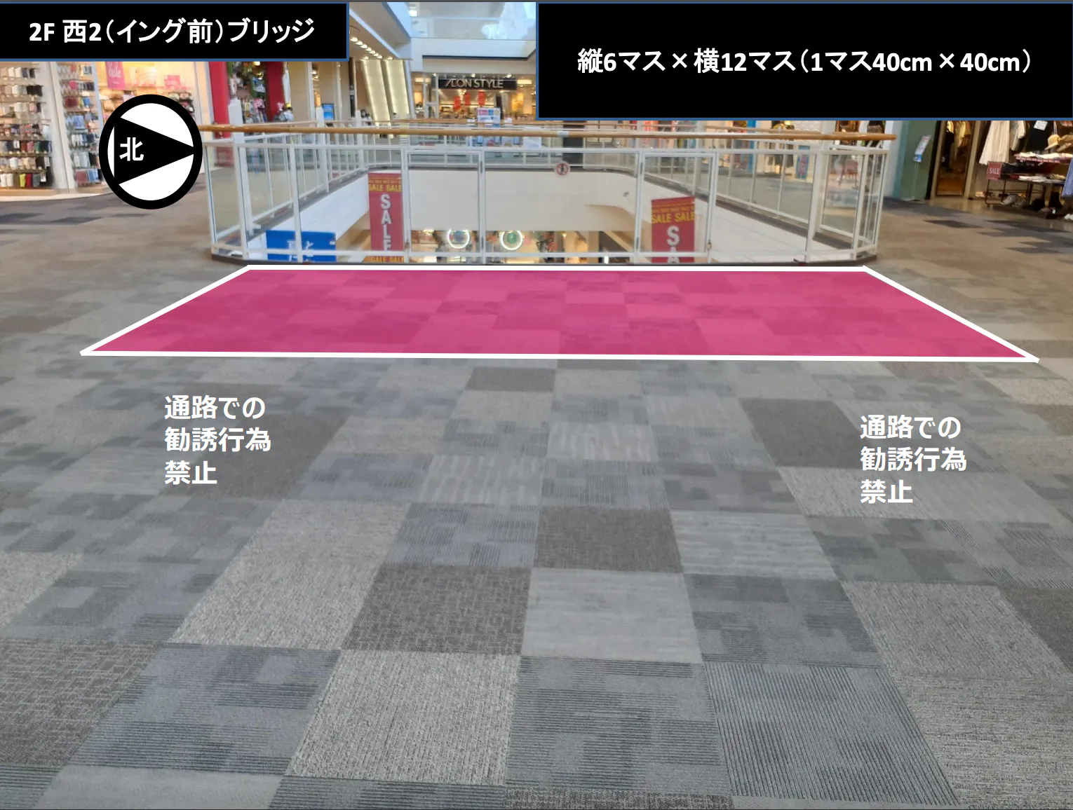 【イオンモール宮崎】西Cブリッジ(イング前西側)