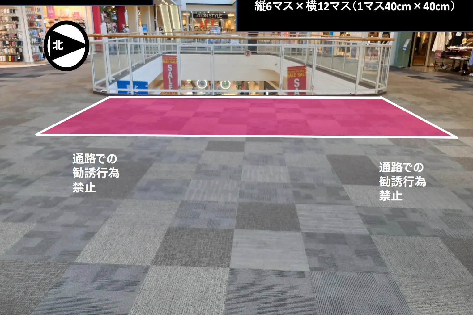 【イオンモール宮崎】西Cブリッジ(イング前西側)