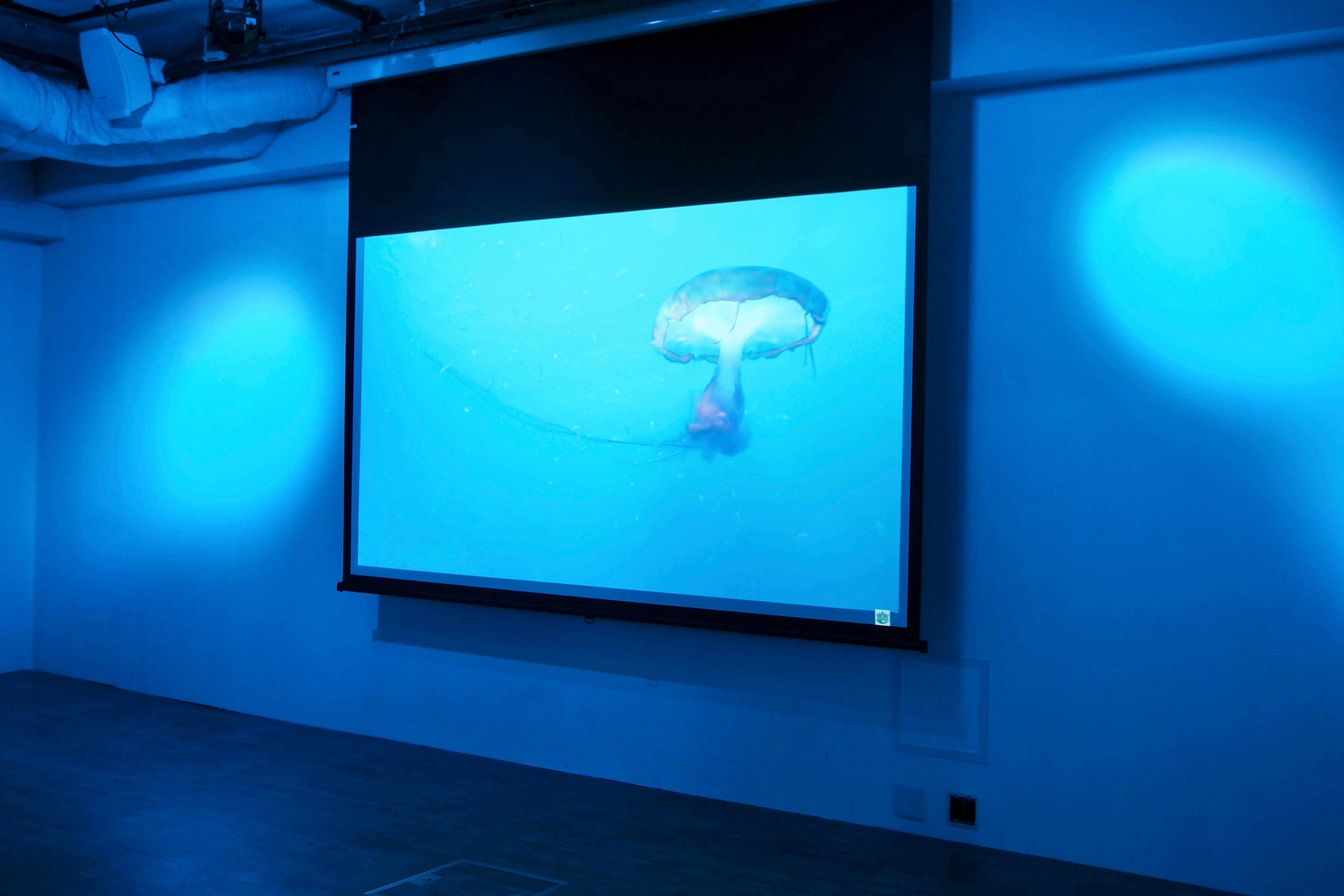 【アクセス、使い勝手良好!】アイドルやタレントのファンイベント、アパレル展示会、パーティーなど各種イベントに最適!