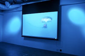 【アクセス、使い勝手良好!】アイドルやタレントのファンイベント、アパレル展示会、パーティーなど各種イベントに最適!