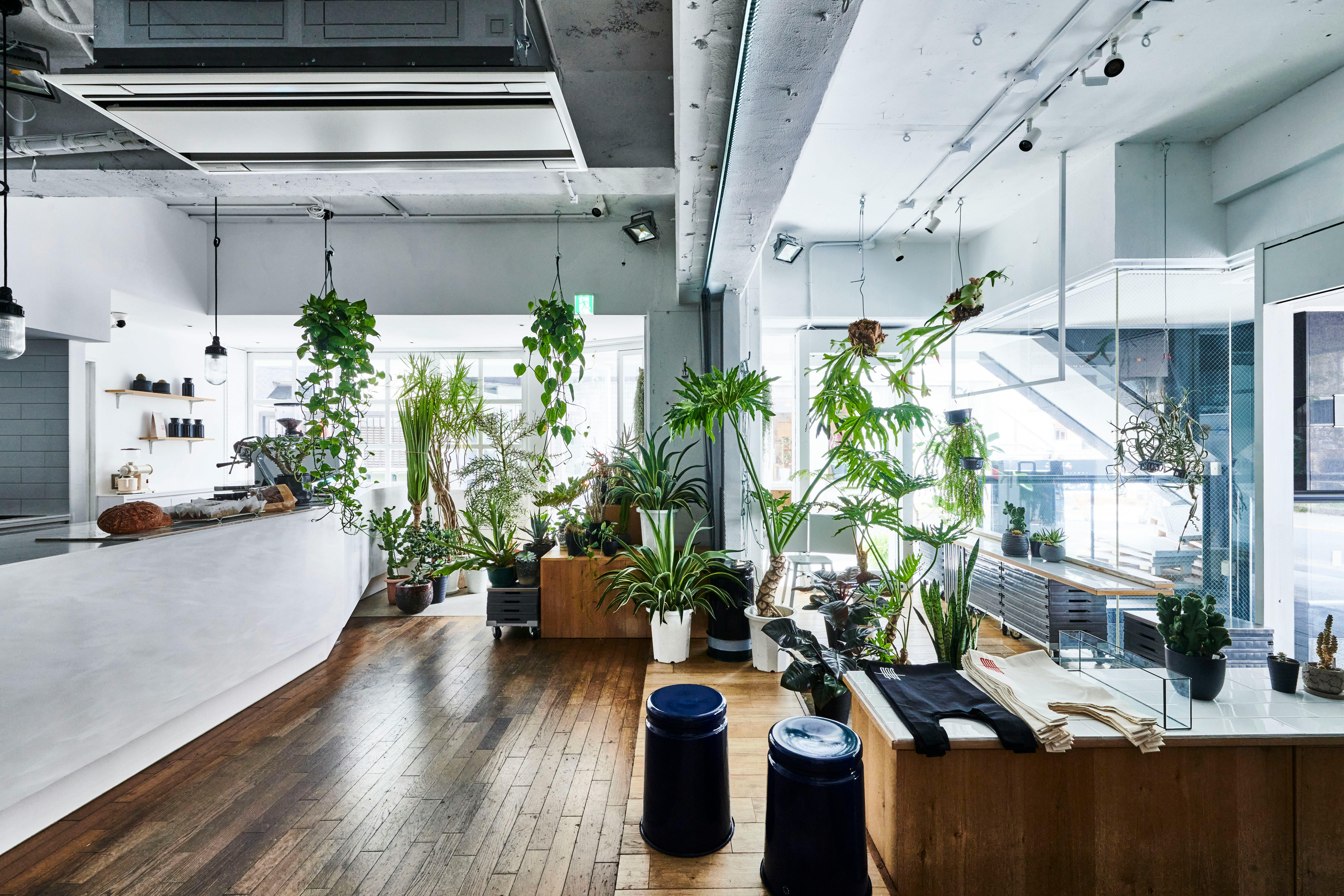 【 代官山駅5分 / メイン通り1F 路面 】 クリエイティブなキュレーション型