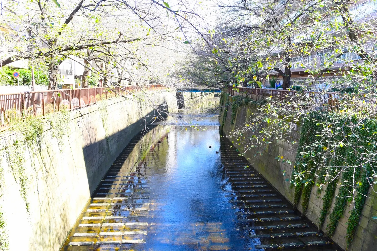 【池尻大橋8分】中目黒からもアクセス可能・目黒川すぐ・フロア独占85㎡・展示会・ポップアップに最適な木の素材が優しい雰囲気を出すスタジオスペース