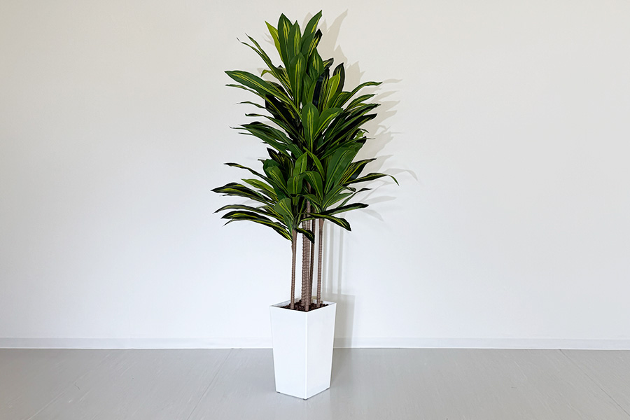 【藤森駅2分】スペース22