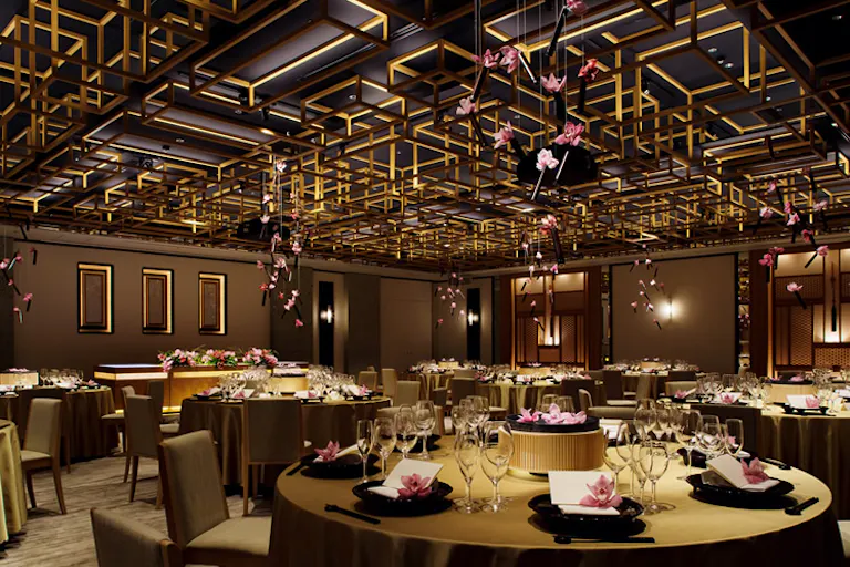 310Φのテーブルが10台設置できます