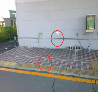 【ザ・ビッグ釈迦内店】入り口前② 販促プロモーションや物販に最適なスーパー店外催事イベントスペース