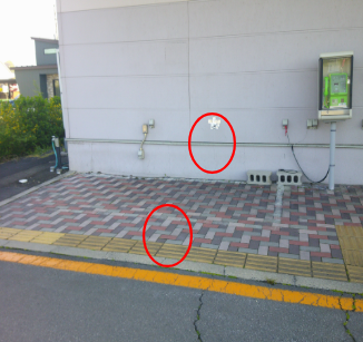 【ザ・ビッグ釈迦内店】入り口前② 販促プロモーションや物販に最適なスーパー店外催事イベントスペース