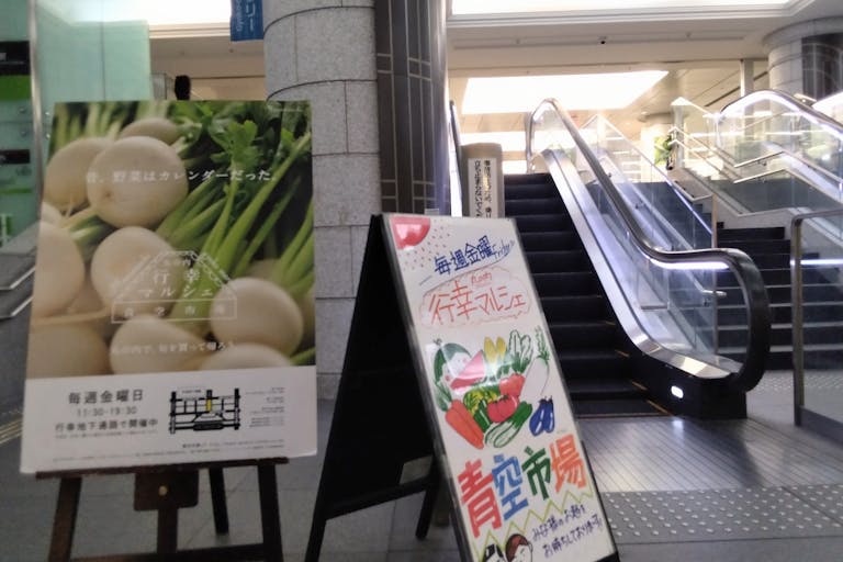 äžžã®å
è¡å¹žãã«ã·ã§ã®ããã2