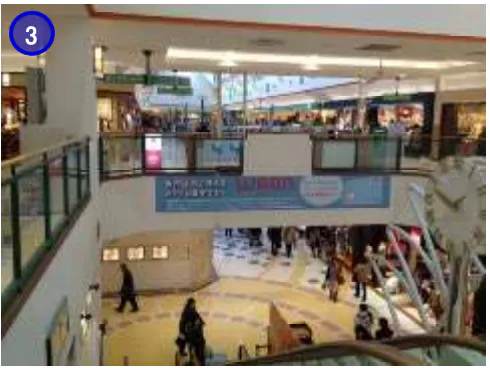 【イオンモール下田】モール内広告 横断幕