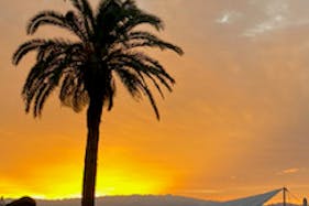 【日本平久能山スマートIC5分】ポップアップストアや様々なイベントに適した海辺の屋外イベントスペース