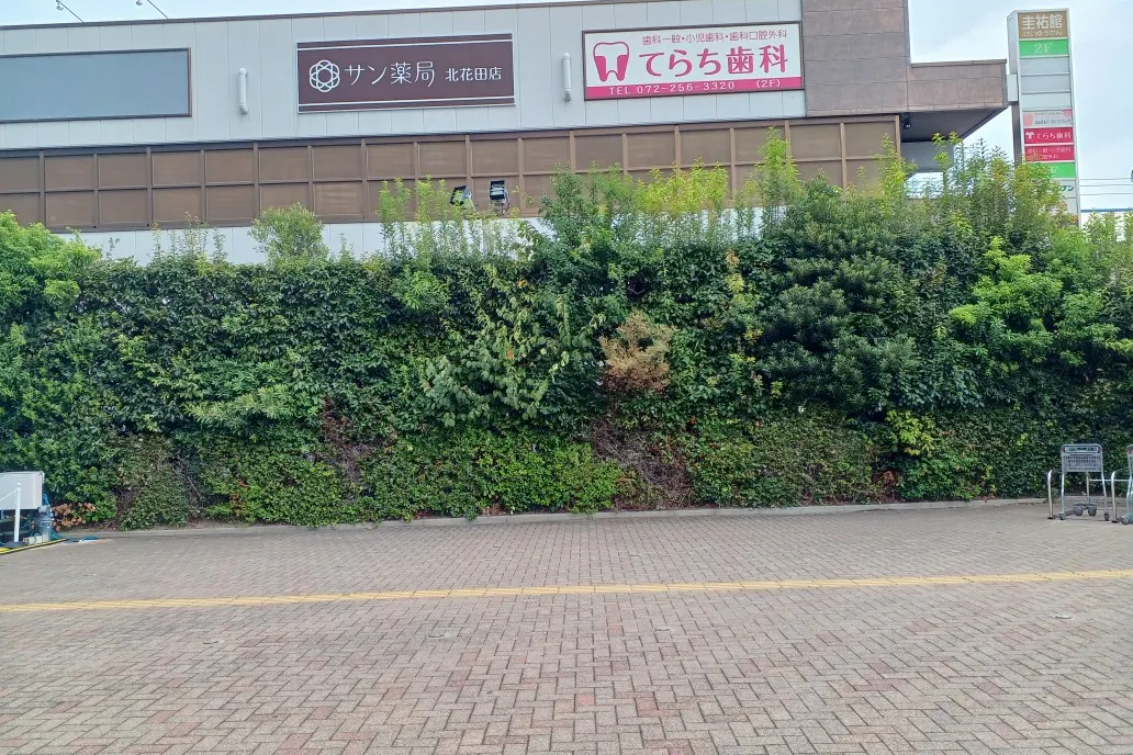 【イオンモール堺北花田】屋外広場【B】