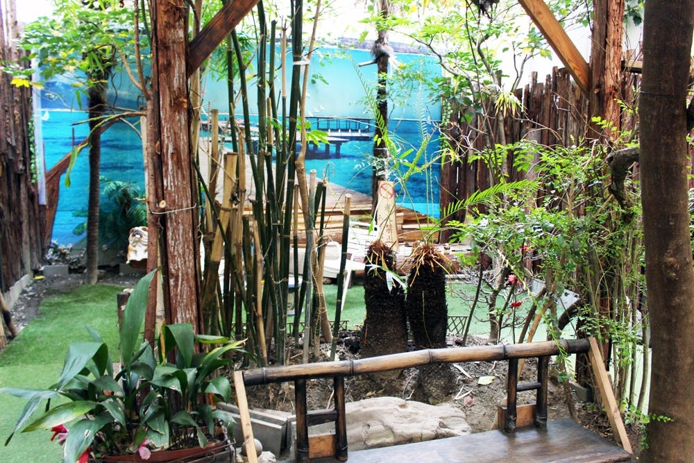 【肥後橋駅2分】パーティーやプロモーションイベントに適した南国風・庭付きイベントスペース