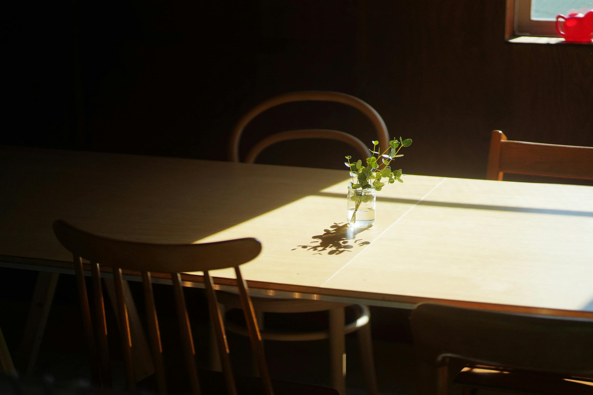 【池ノ上駅6分】撮影に適した光と影・素材が特徴的な自宅兼スタジオ