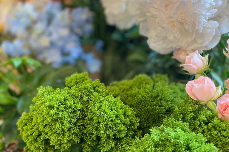 ある日のお花のイベント