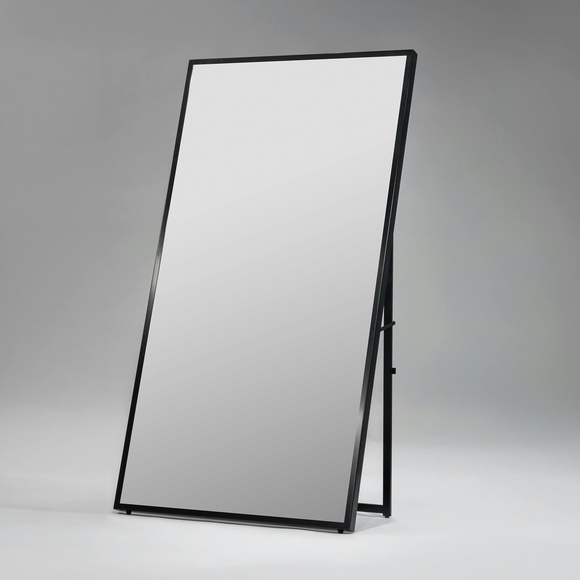 ラージミラー(1台) / 有料 11,000円(税込) W1000×D49×H1900 