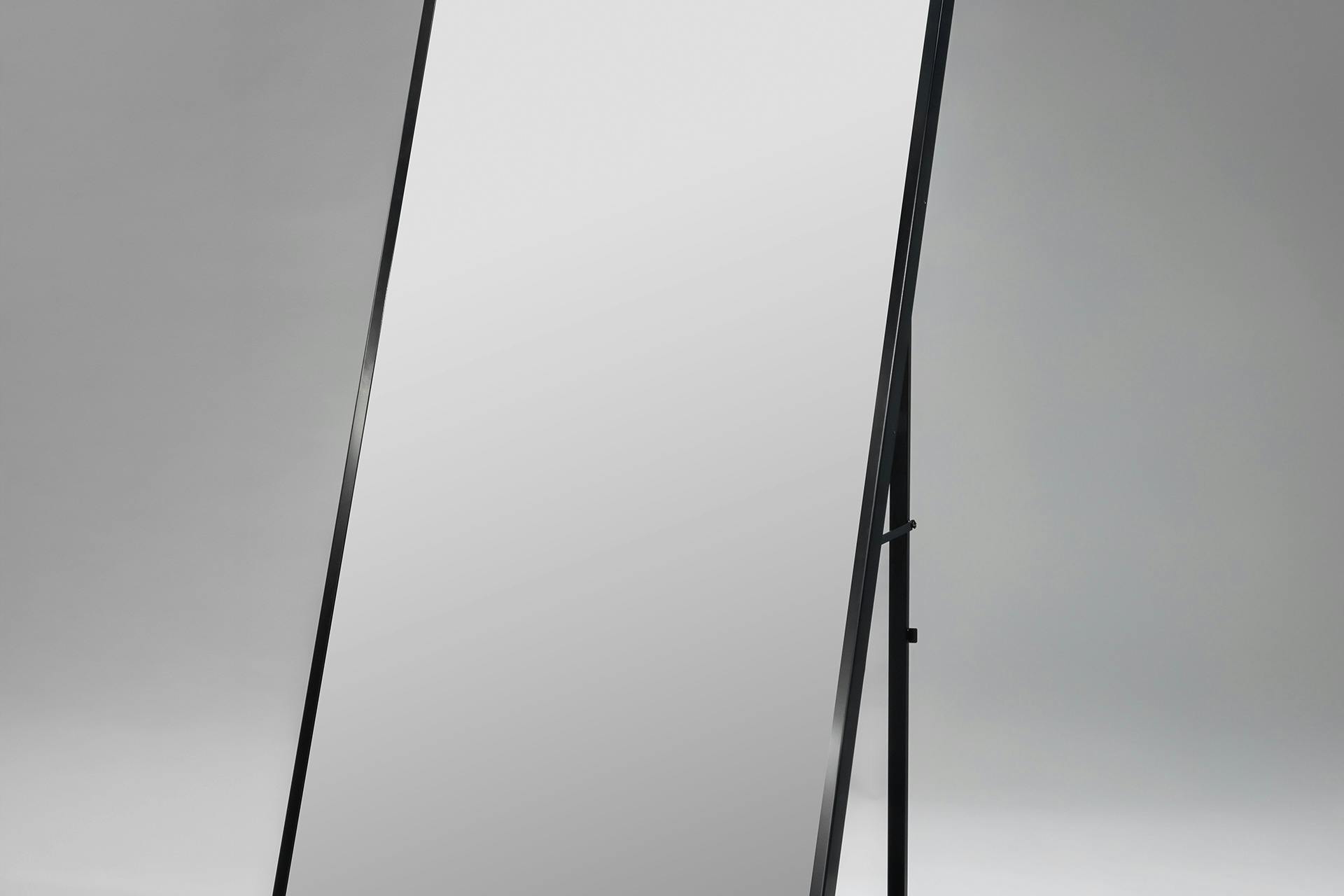 ラージミラー(1台) / 有料 11,000円(税込) W1000×D49×H1900