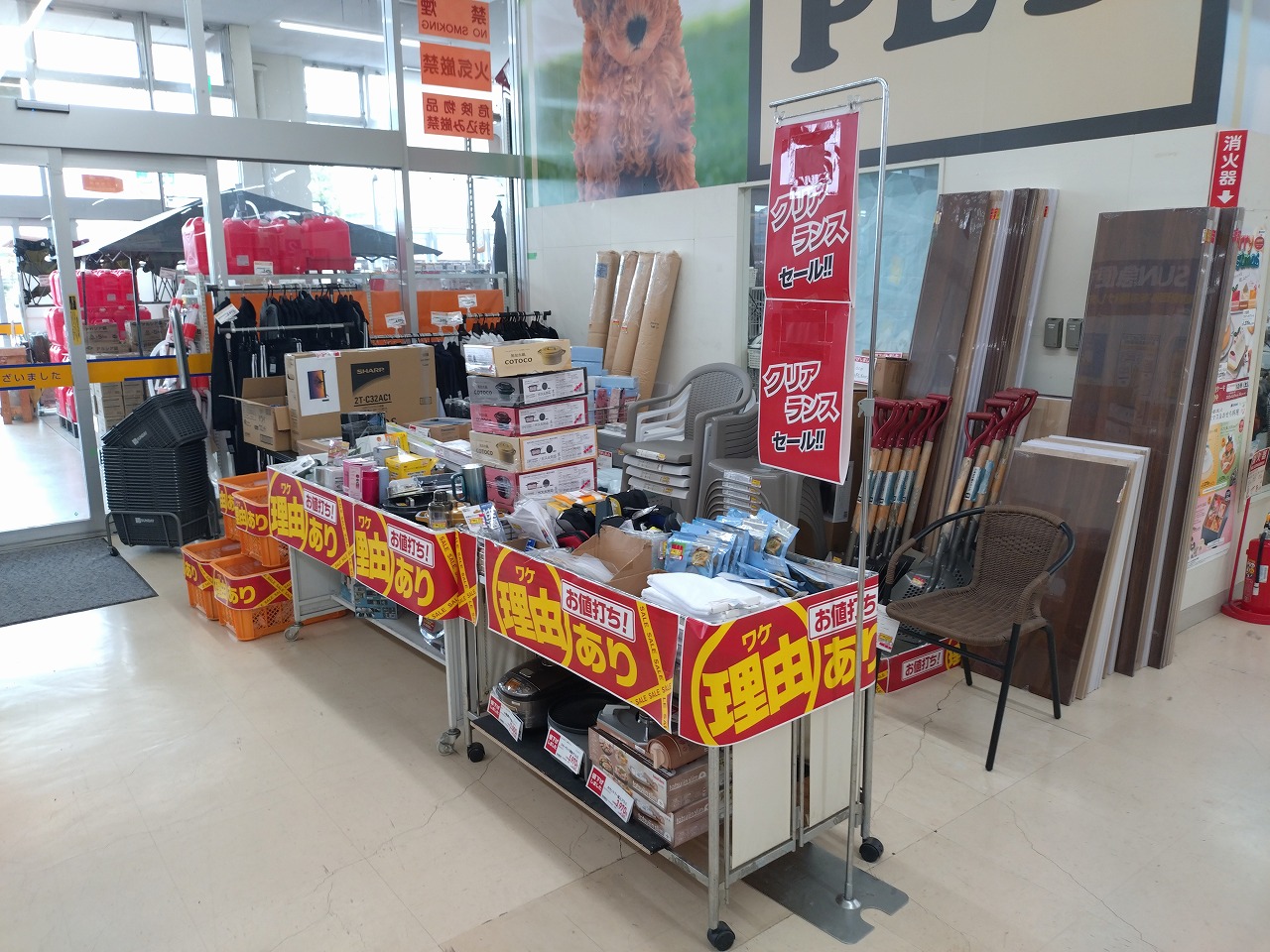 【サンデー愛子店】店内入口　食物販やプロモーション等の出店に最適なホームセンター店内のイベントスペース