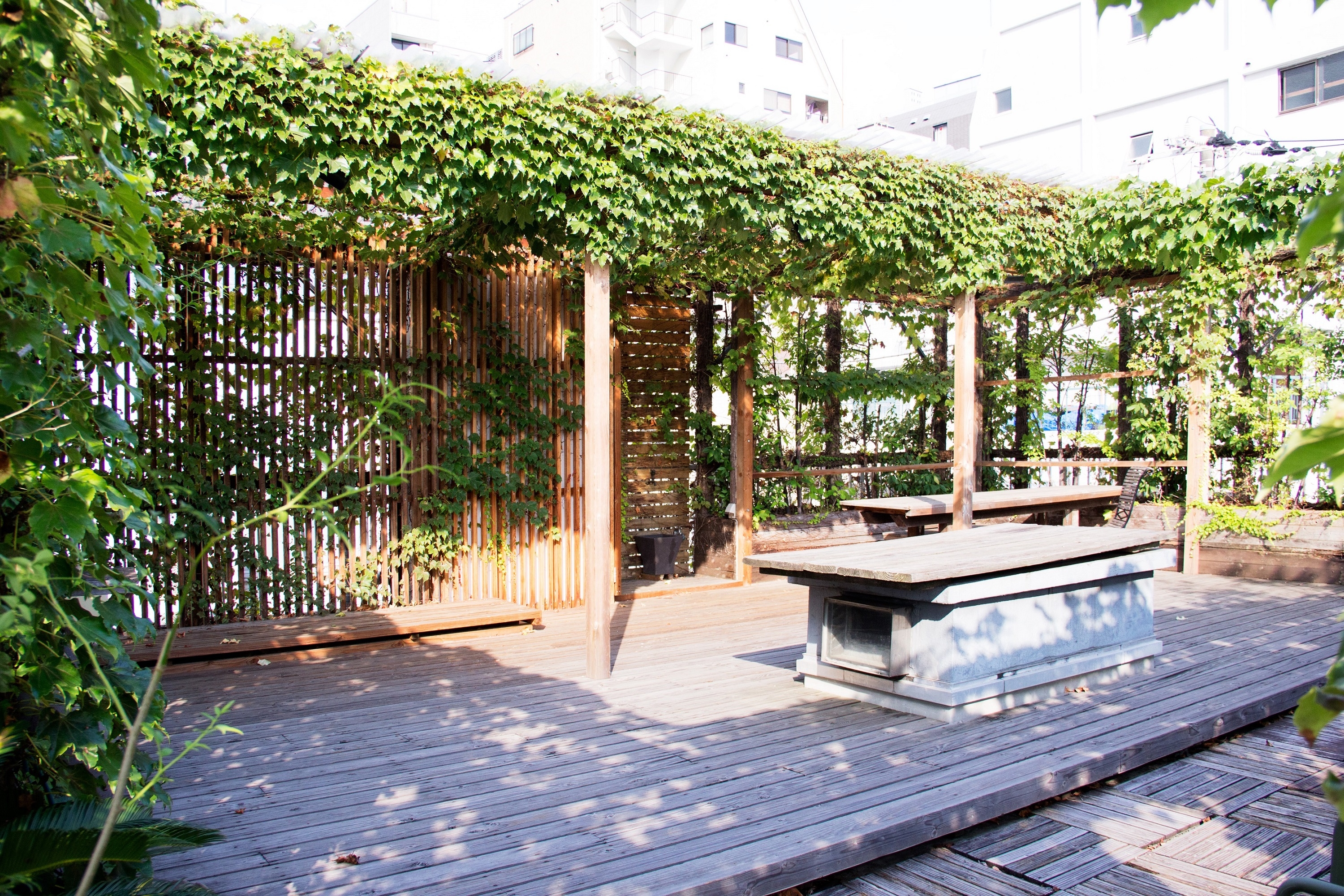 【表参道駅5分】優しい光差し込む青山のスタジオ