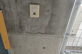 【メガセンタートライアル伊勢崎中央店】⑪ポップアップストアやプロモーションに適した駐車場スペース(立体駐車場3F店舗東側エントランス前_駐車場1区画)