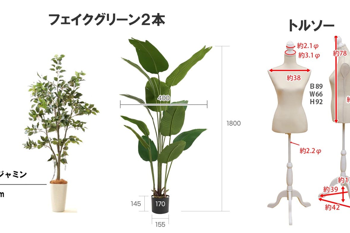 【飯田橋駅2分】ロケや撮影会、新商品の物撮り、アパレルの展示会に最適な自然光あふれる3面採光の白を基調としたイベントスペース