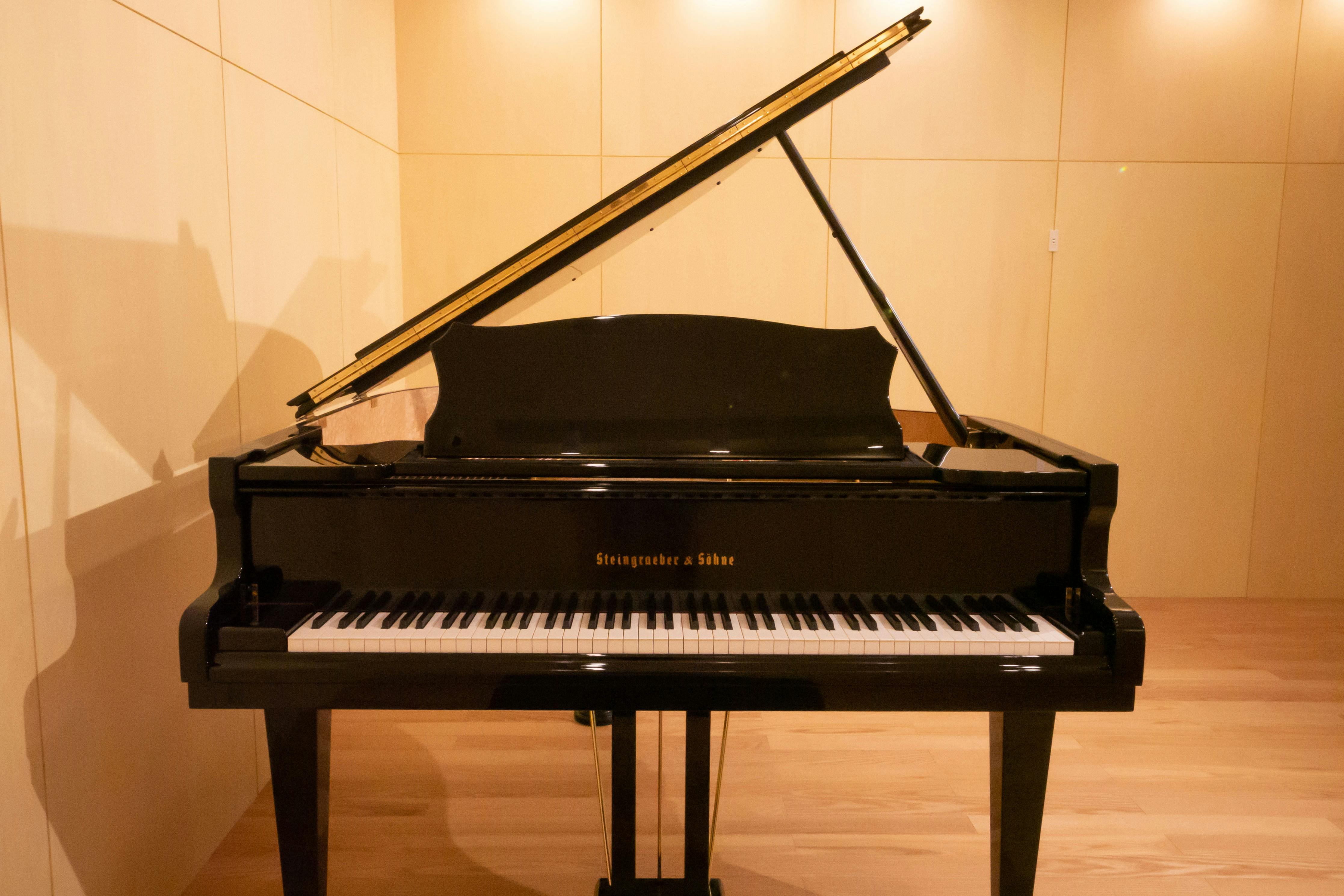 グランドピアノ (Steingraeber A-170)